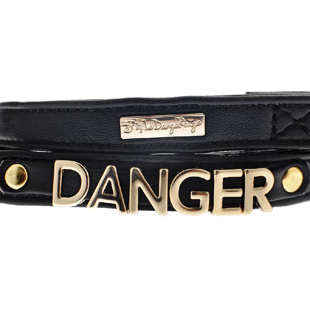 Le Dangerouge Danger dog leash Vendita