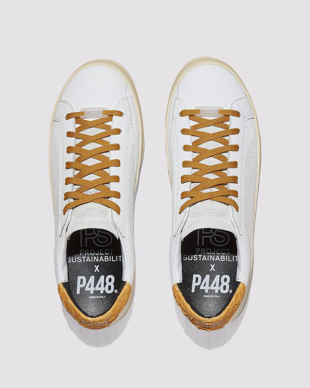 P448 John Carp/Mustard Negozio