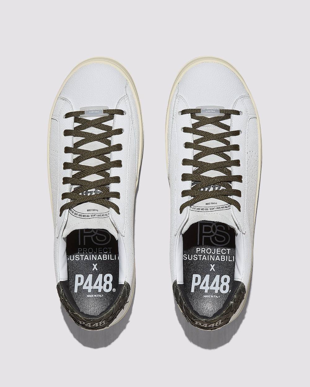 P448 John Carp/Army In Linea