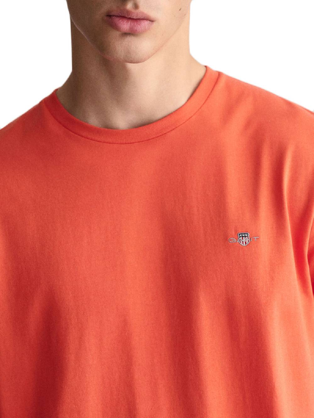 Gant Reg Shield Ss T-Shirt In Linea