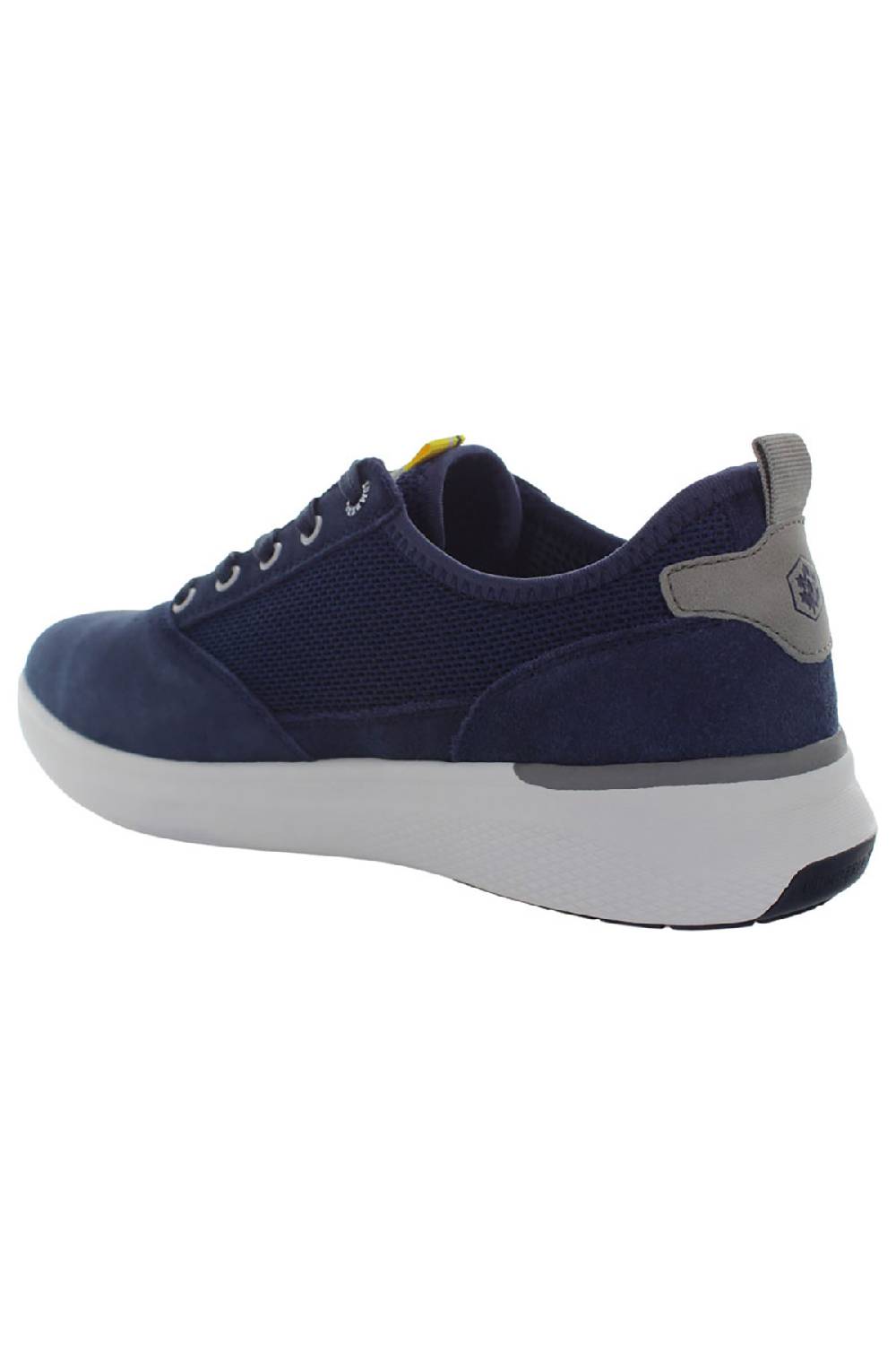 LumberJack NEIL SNEAKER UOMO In Vendita