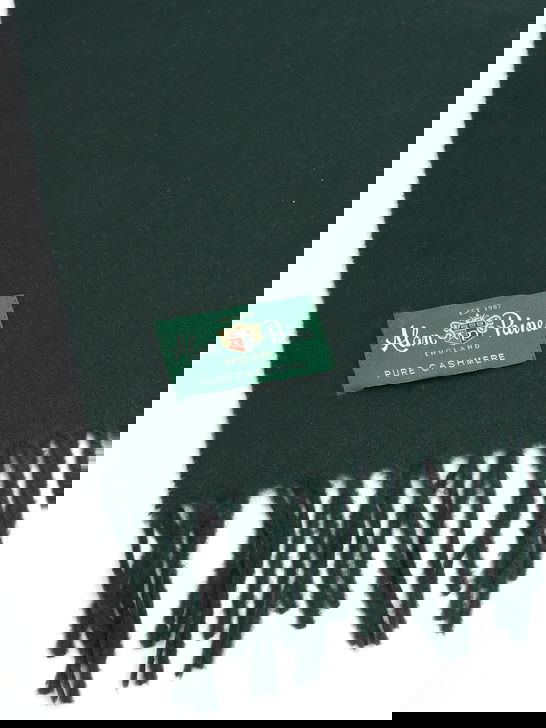 Alan Paine Sciarpa Alan Paine Risbury Cashmere Verde In Linea
